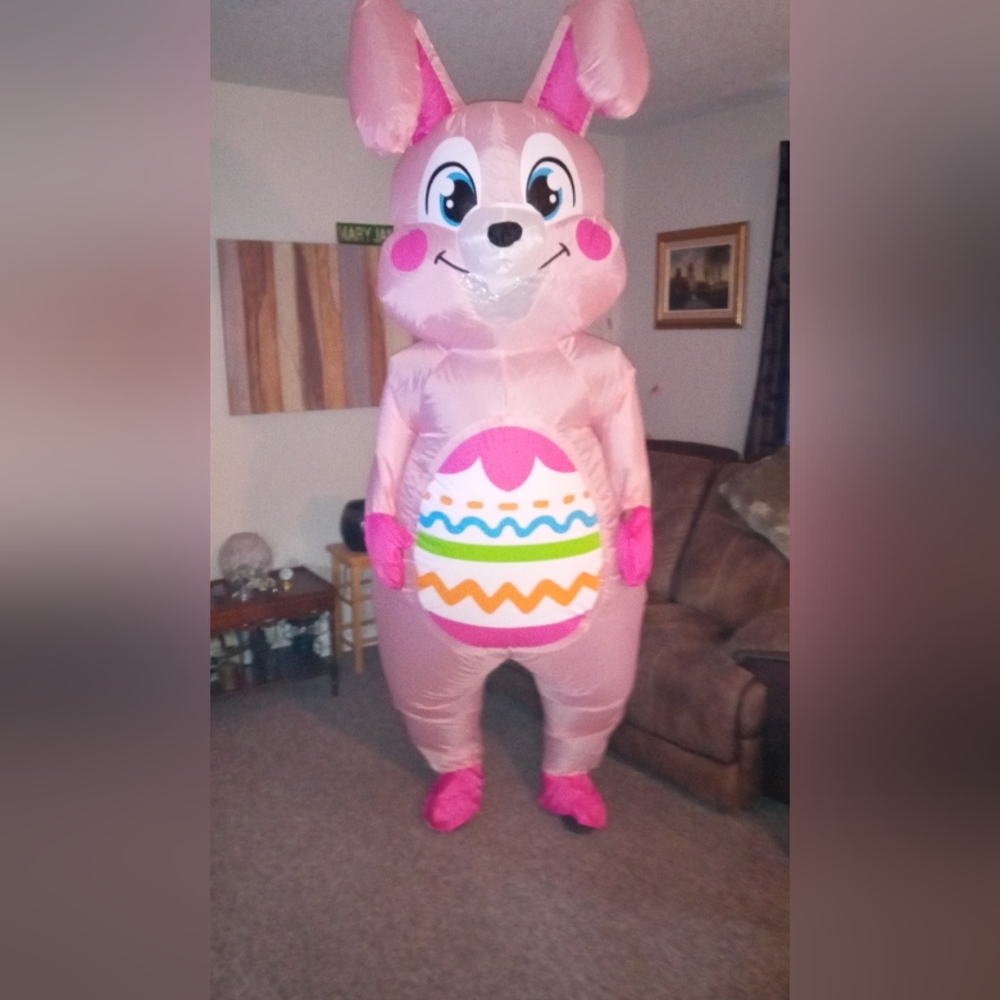 Pink Easter Bunny Inflatable Costume - Men Other - Picture 2 of 8